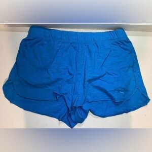 Victoria’s Secret PINK Blue Shorts